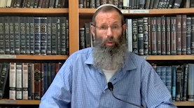 יהודה לוינשטיין, צילום: מסך